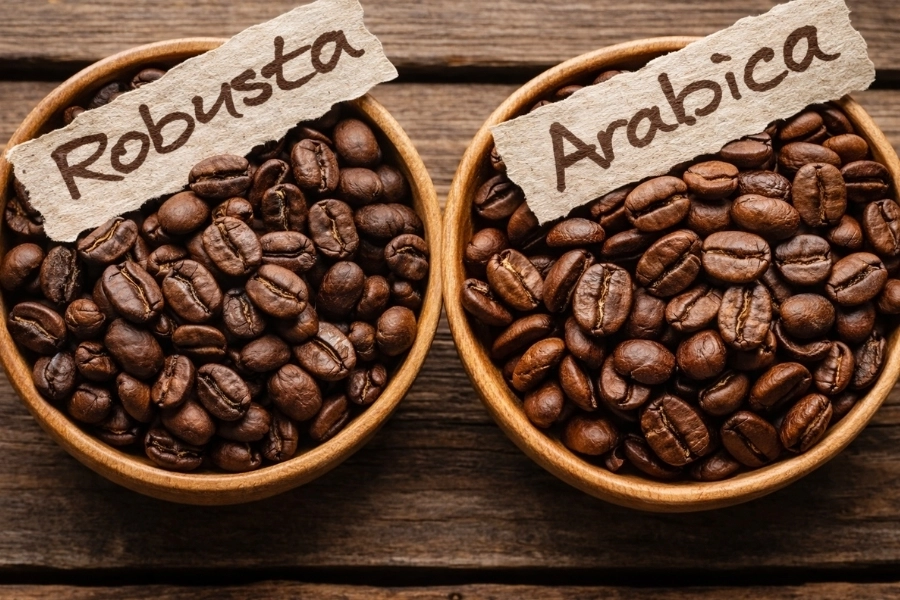 ca-phe-hat-pha-may (4)