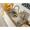 Ảnh bổ sung sản phẩm Vòi rửa FRANKE CT 995C | nóng lạnh | (115.0635.332) 3